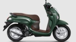 Honda Scoopy