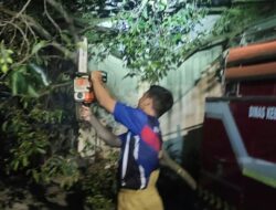 Pohon Tumbang Timpa Rumah Warga di Kawasan Cicendo