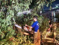 Pohon Tumbang Tutup Akses Jalan Cijerah dan Rusak Rumah Warga