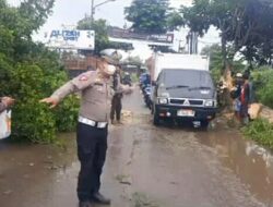 Diguyur Hujan Deras, Pohon Besar di Jalan Raya Katapang-Andir Tumbang