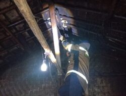 Ular Sanca Kembang 2,5 Meter Nangkring di Atap Rumah Warga Cimanggung Sumedang