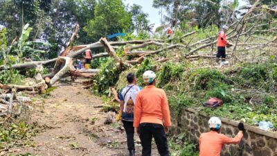 Pohon Beringin Tumb4ng Tutup Jalan Penghubung Dua Desa di Sumedang