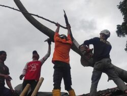 Rumah Warga Sumedang Rusak Tertimpa Pohon Tumbang