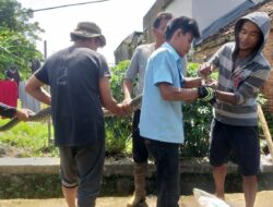 Geger, Warga Jatinangor Sumedang Temukan Banyak Ular di Rumahnya