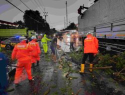 Pohon Tumbang Timpa Truk Kontainer di Tomo Sumedang