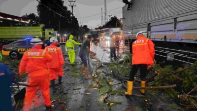 Pohon Tumbang Timpa Truk Kontainer di Tomo Sumedang