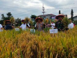 Tanam Padi pada 6.400 Ember, Polres Sumedang Pecahkan Rekor Muri