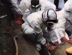Mayat Perempuan Ditemukan di Gorong-gorong Jembatan Tol Cisumdawu Sumedang