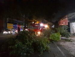 Mobil Derek Tabrak Dahan Pohon di Sumedang, Sebabkan Kerusakan dan Korban Luka