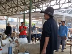 Aktivitas Jual Beli Hewan Kurban di Pasar Hewan Tanjungsari Sumedang Meningkat Jelang Idul Adha