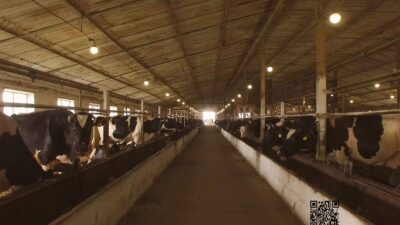 Butuh Listrik Sementara Selama Idul Adha? Simak Cara Praktis Dapatkannya dari PLN UP3 Sumedang