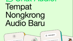 WhatsApp voice chat
