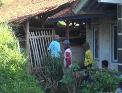 Apes, Jelang Idul Adha Sapi Limosin Seharga 18 Juta Milik Warga Sumedang, Raib Digondol Maling