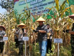 Dukung Swasembada Pangan, Polres Sumedang Gelar Panen Raya Jagung