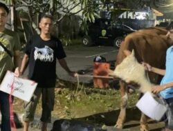 Polres Sumedang Distribusikan 10 Sapi dan 7 Domba Qurban ke Ponpes dan Organisasi Keagamaan
