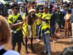 Cibogo Horse Festival 2025, Ajang Silaturahmi Pencinta Kuda se-Pulau Jawa dan Madura