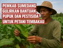 DPKP Sumedang Siapkan Bantuan Pupuk dan Pestisida untuk Petani Tembakau