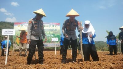 Polres Sumedang Tanam 1,7 Hektare Jagung untuk Dukung Ketahanan Pangan Nasional