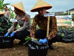 Polres Sumedang LuncurkanMenanam Ubi Cilembu di 15 Ribu Polybag
