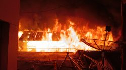 Diduga dari Tungku, Kandang Domba di Sumedang Ludes Terbakar, Puluhan Domba Hangus Terpanggang