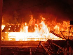 Diduga dari Tungku, Kandang Domba di Sumedang Ludes Terbakar, Puluhan Domba Hangus Terpanggang