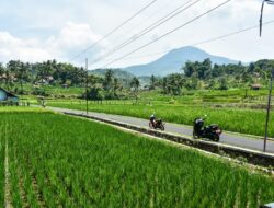 Pesona Jalur Hijau Sumedang yang Baru Diperbaiki