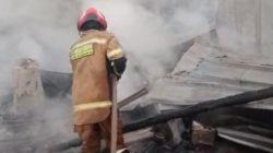 Kandang Ayam di Tanjungsari Sumedang Terbakar, Kerugian Capai Ratusan Juta