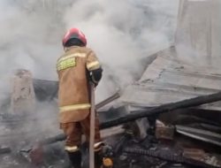 Kandang Ayam di Tanjungsari Sumedang Terbakar, Kerugian Capai Ratusan Juta