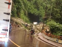 Pengendara Motor Tertimpa Pohon Aren Akibat Longsor di Jalan Cadas Pangeran Sumedang