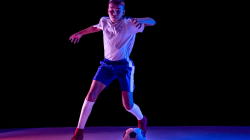 hector fort profil transfer