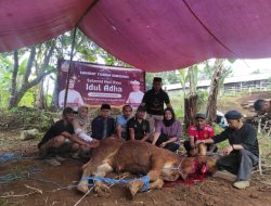 Idul Adha 1447 H, Yoshua Sirait Salurkan Hewan Kurban untuk Warga dan Relawan di Sumedang