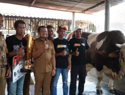 Bobot 1,4 Ton, Robinhood dari Sumedang Kalahkan Pesaing di Piala Presiden 2026